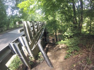 Fossil Finding Friend Mary Lou bravely makes her way to the stream.