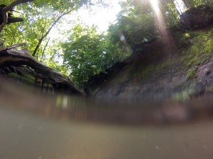DCIM100GOPRO