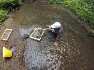 Sift, Mary Lou, sift!