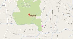 I park where the purple dot is.